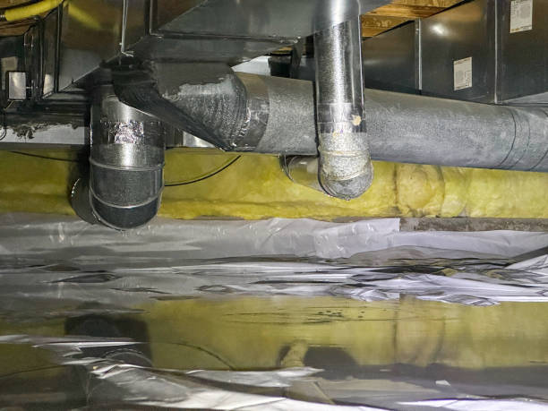 Best Basement water damage restoration  in Ohkay Owingeh, NM